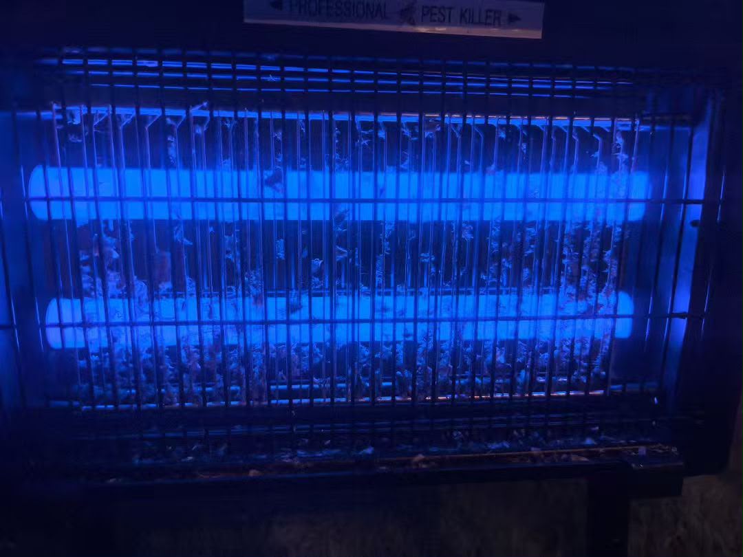 SOLAR MOSQUITO LIGHT