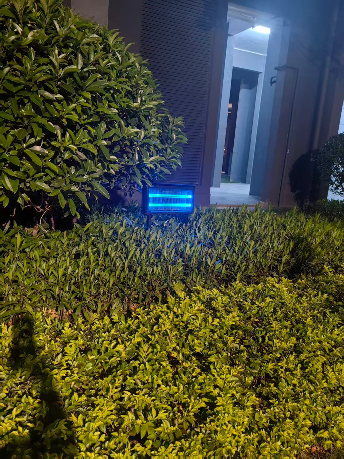 SOLAR MOSQUITO LIGHT