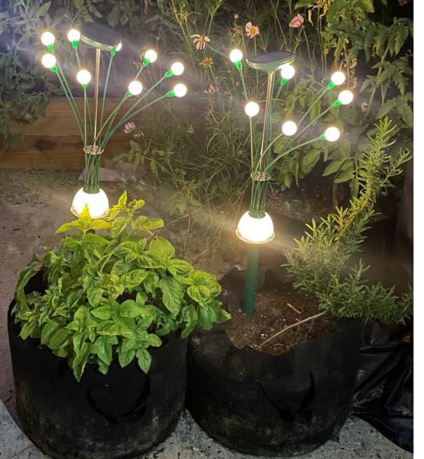PREMIUM SOLAR FIREFLY LIGHT