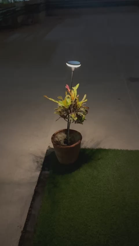 2W SWINGING SOLAR GARDEN LIGHT FL-SSL-616