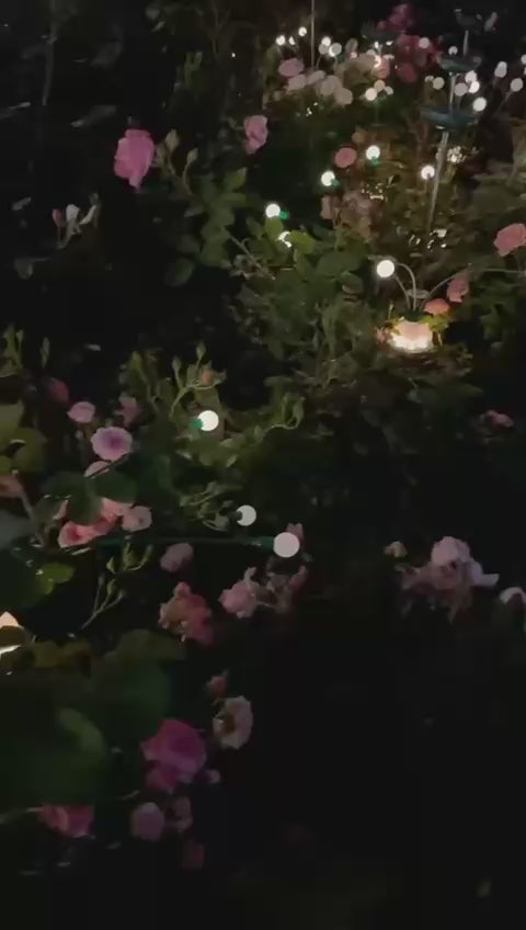 PREMIUM SOLAR FIREFLY LIGHT
