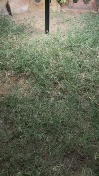 5W SOLAR TWIN HEAD BOLLARD LIGHT FL-SRH-466